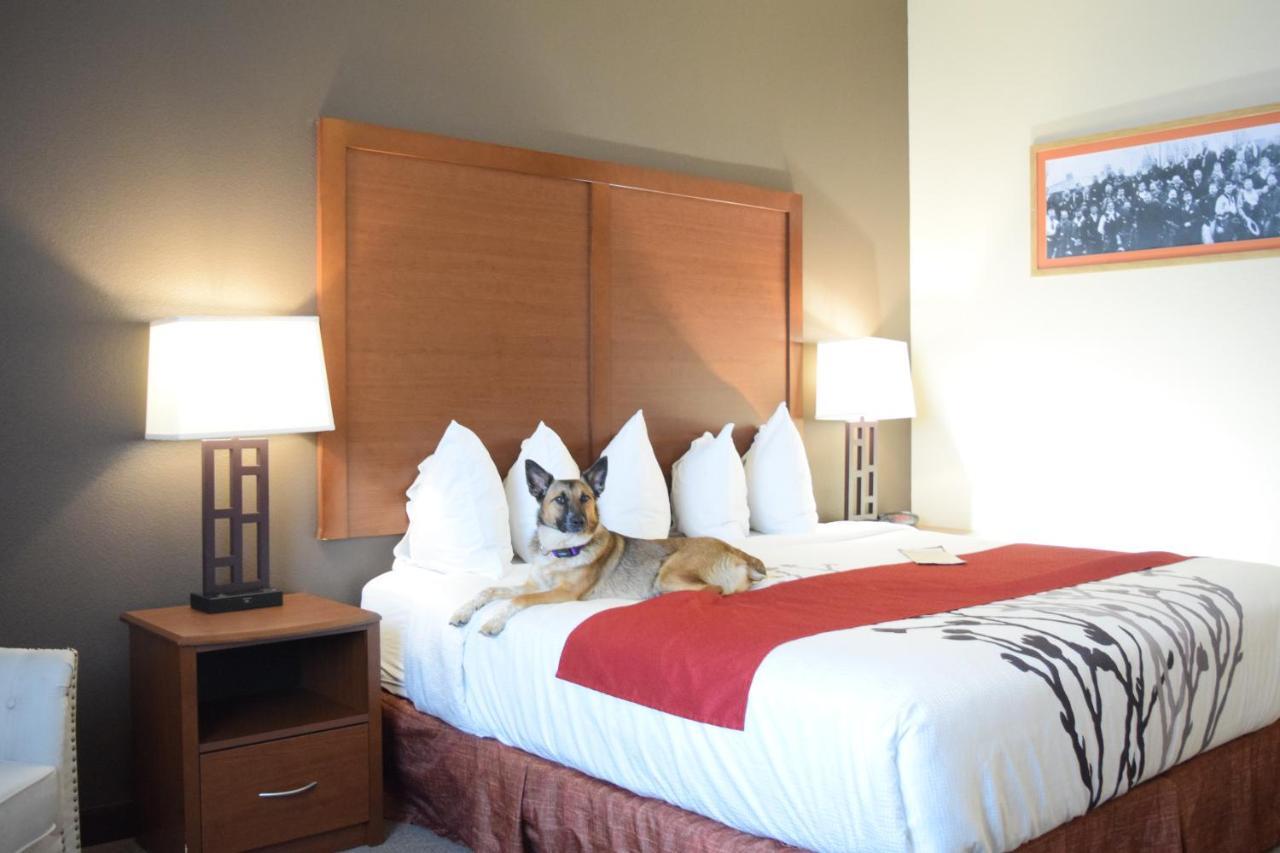 Newcastle Lodge & Convention Center Екстериор снимка
